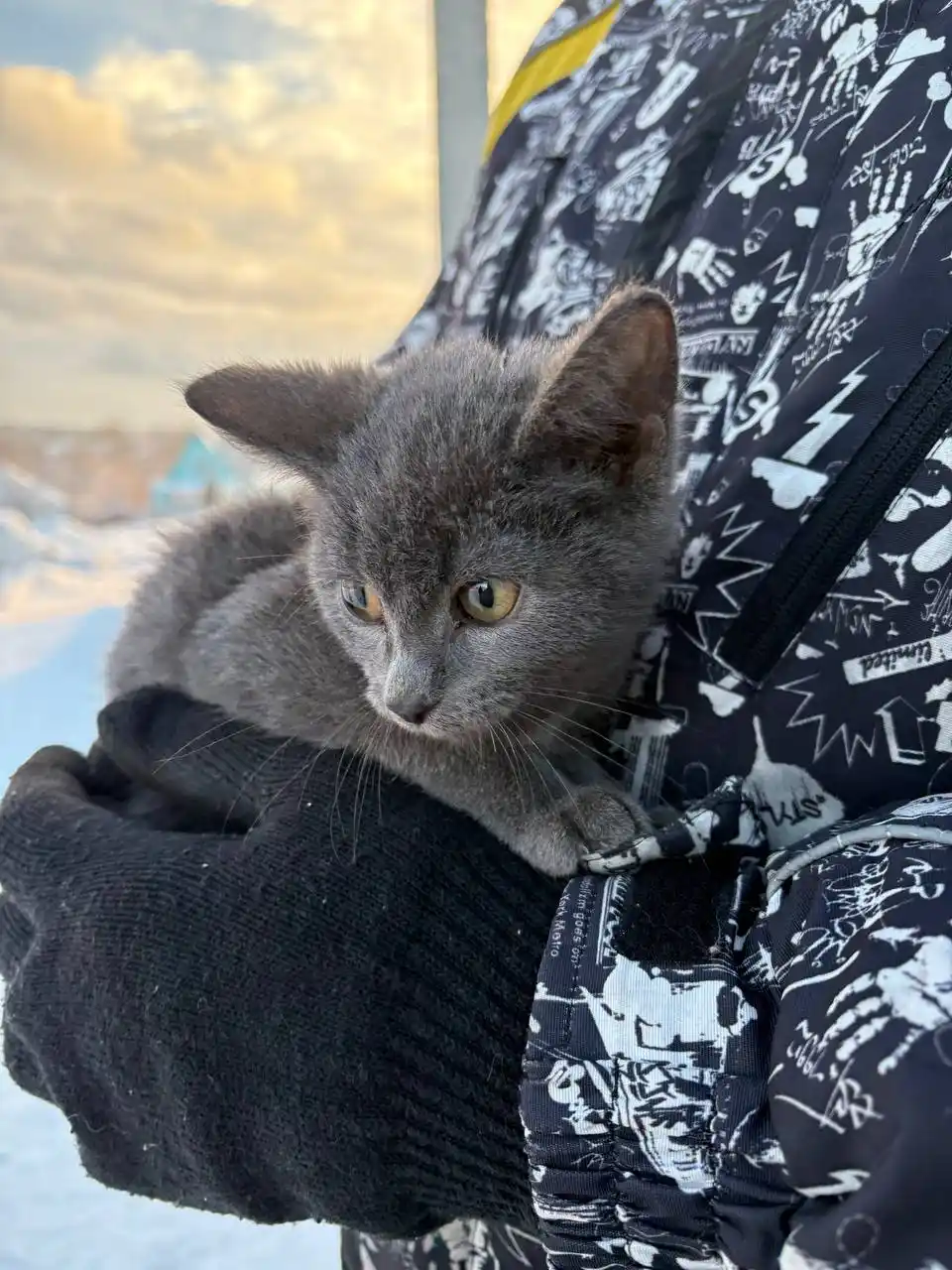 Ищем дом мальчику