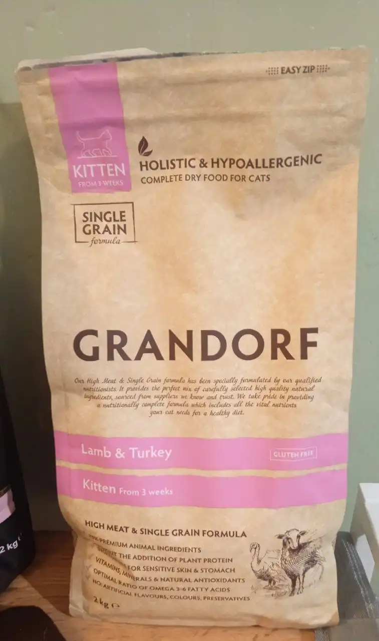 Корм для котят