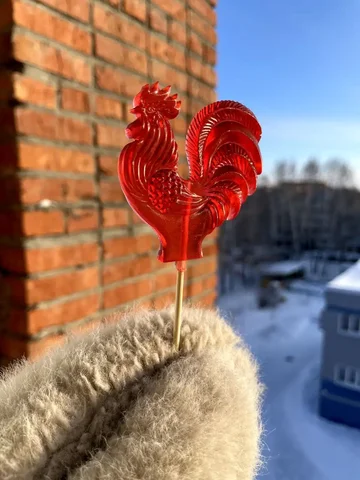 Петушок для фотосессии - Фототехника в Кемерово