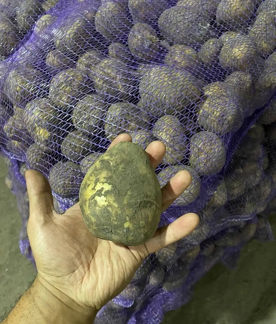 Фермерские продукты Калибр +7 сорт Гала - Барахолка в Кемерово