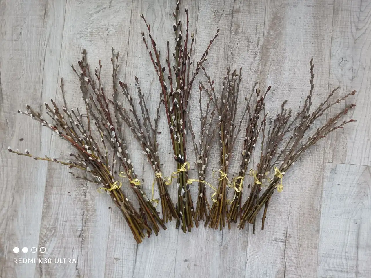 Продам вербу - Барахолка в Кемерово