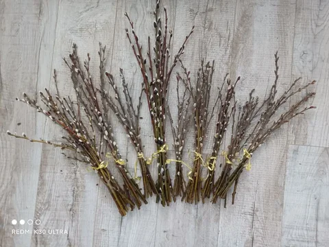 Продам вербу - частное объявление в Кемерово