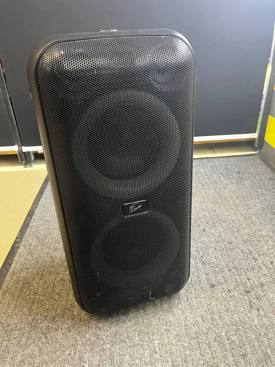 Портативная аудиосистема Fiero Emotion 150 FR900