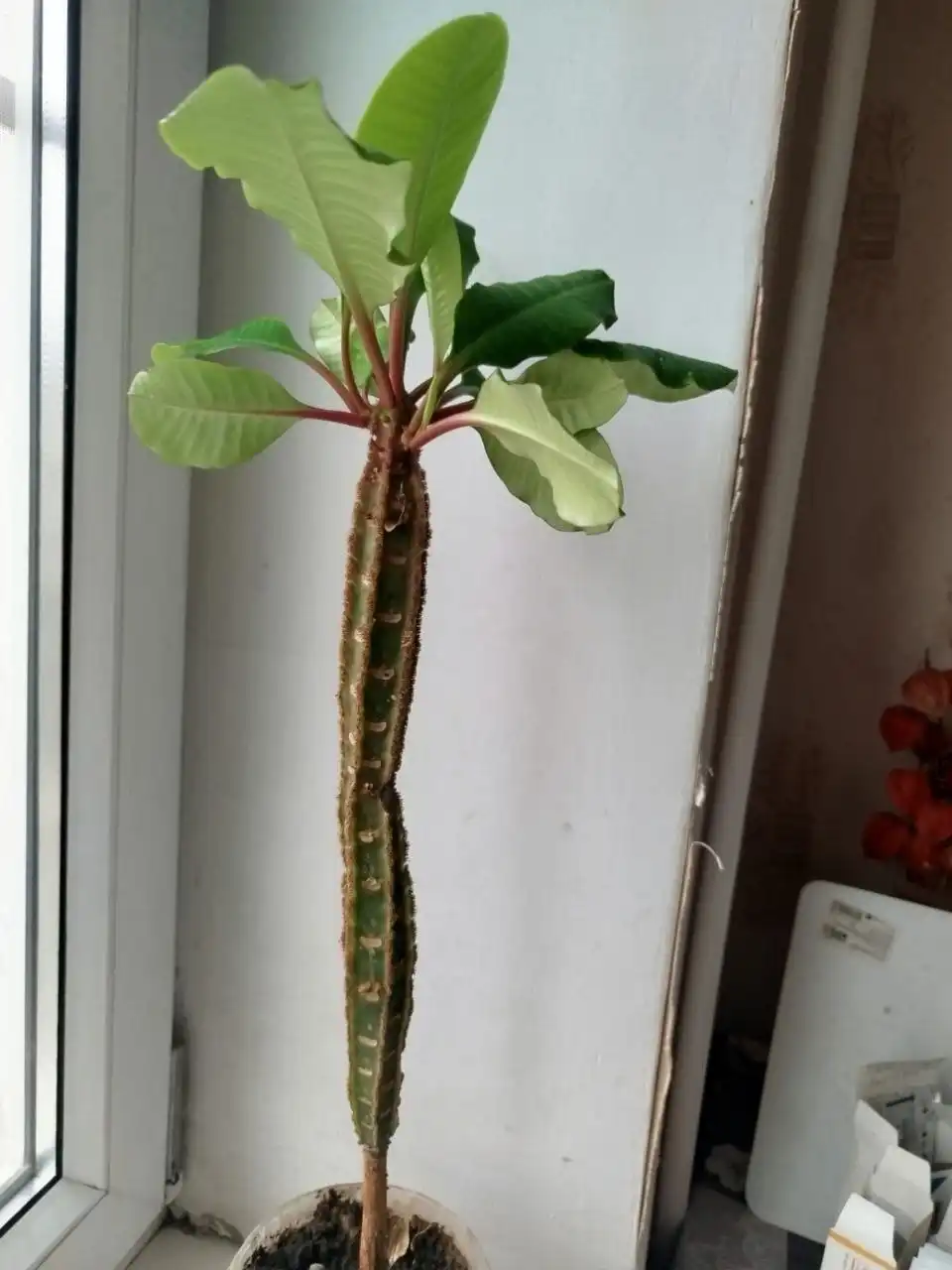 Продам вещи