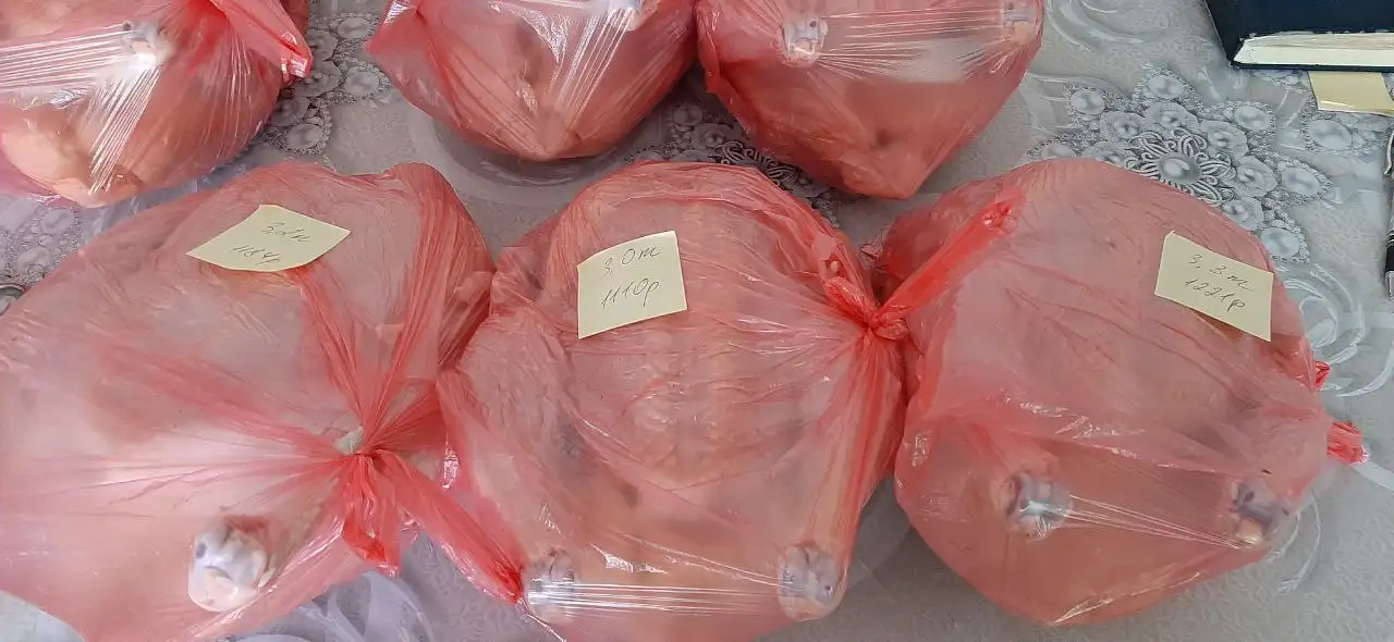 Продажа домашнего бройлера и индюка - Продукты питания (Барахолка) в Симферополь