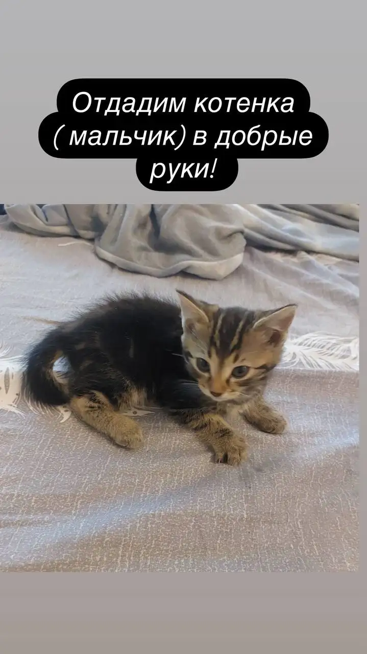 Объявление без заголовка - Услуги в Симферополь