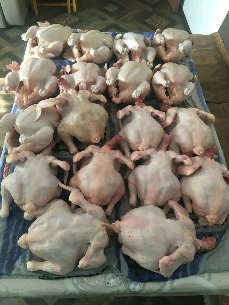 Продажа домашнего бройлера и яиц - Птицы (Животные) в Симферополь