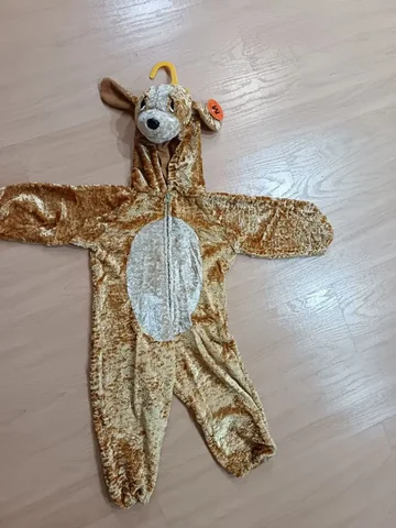 Продажа собачки 1-2 года - Животные в Владивосток