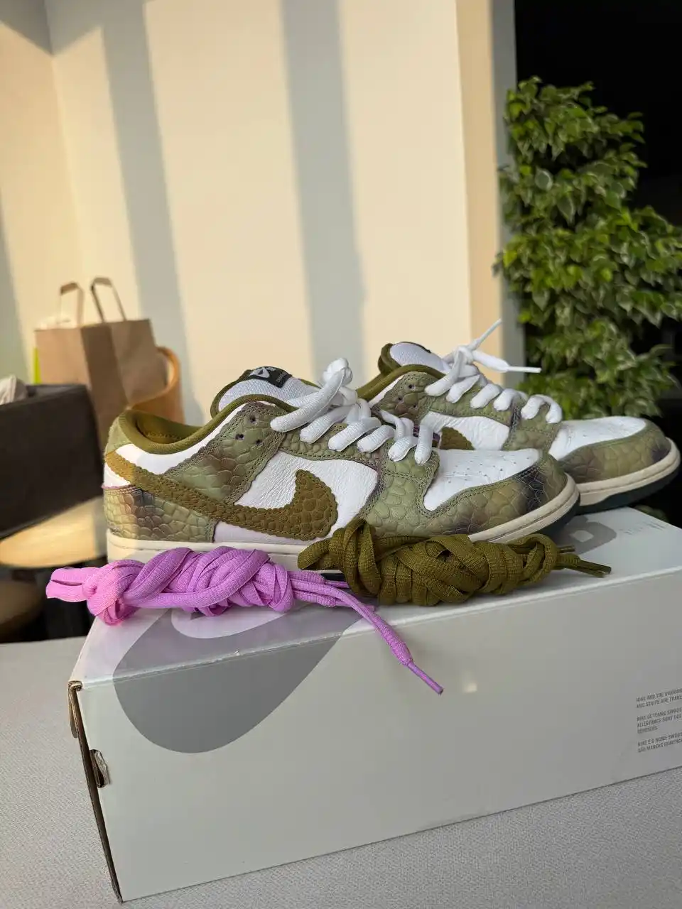 Кроссовки Alexis Sablone x Nike Dunk Low SB : Chameleon