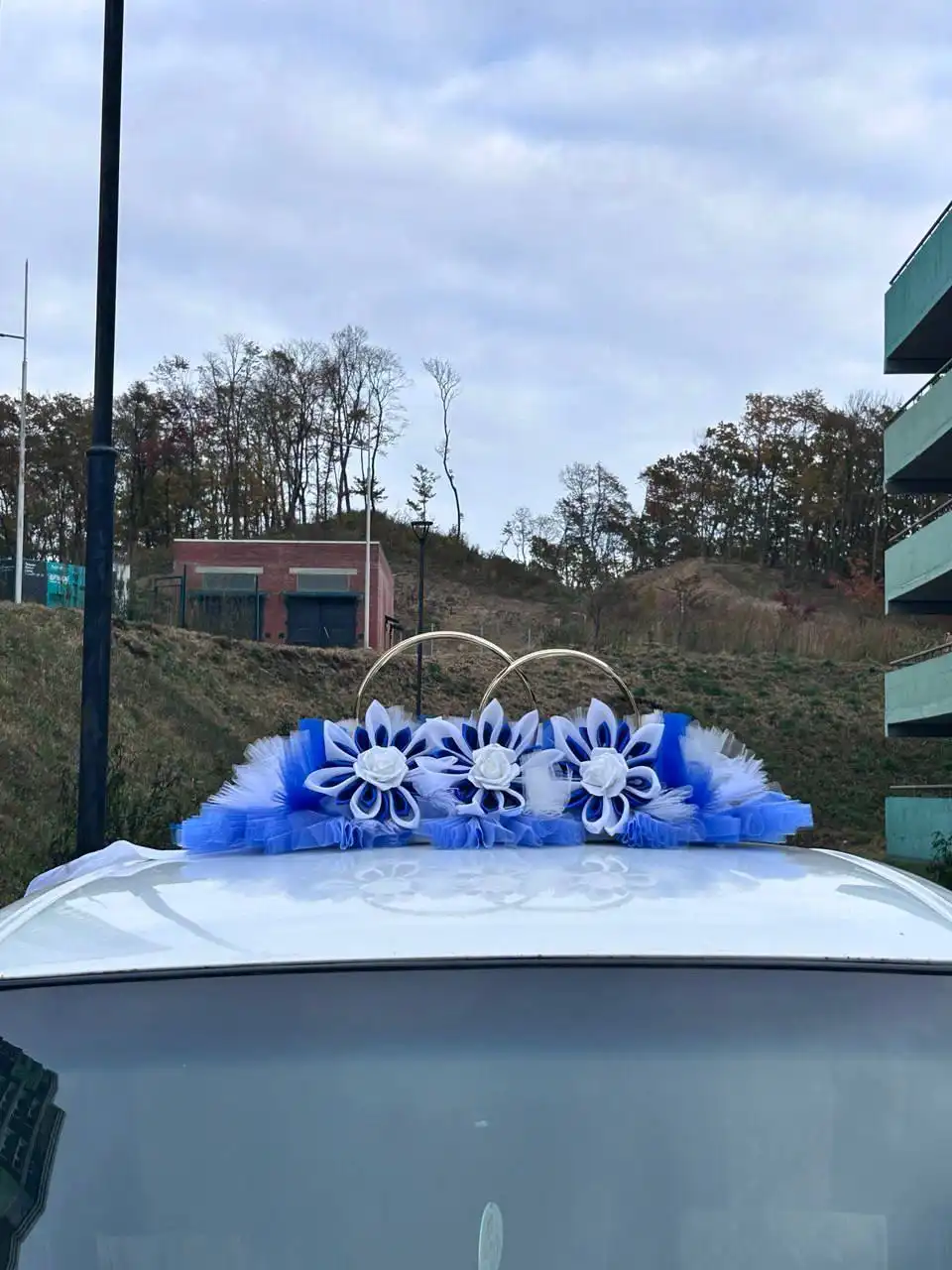 Продам свадебные кольца на машину