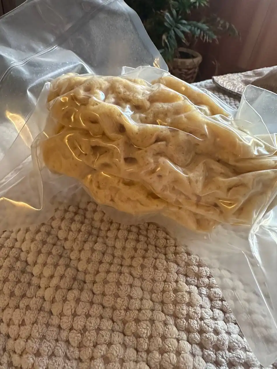 Натуральная морская губка из Турции