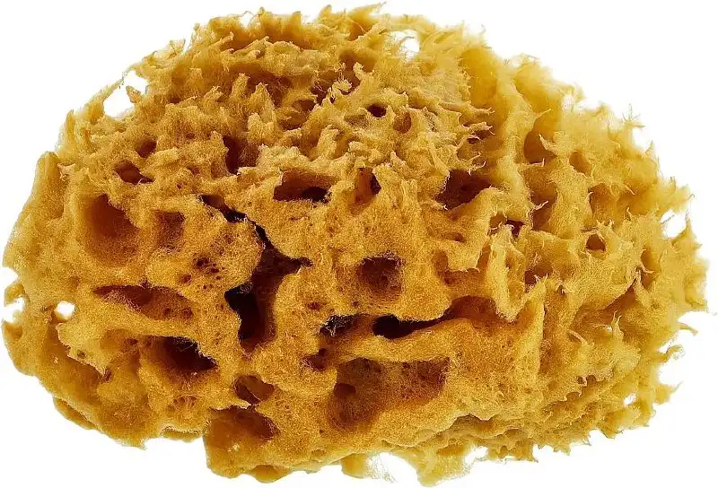 Натуральная морская губка из Турции