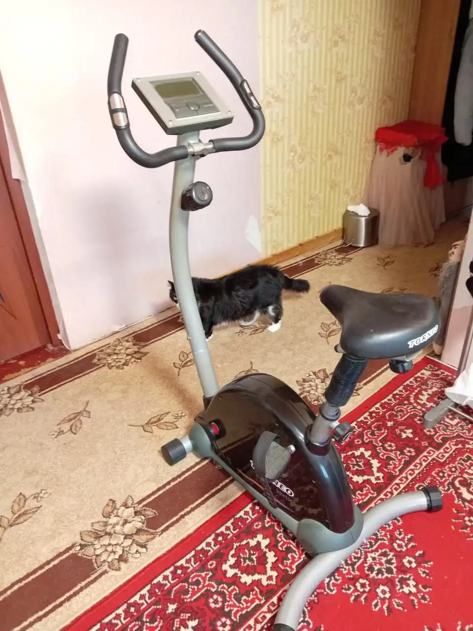 Продам в районе Бама, самовывоз