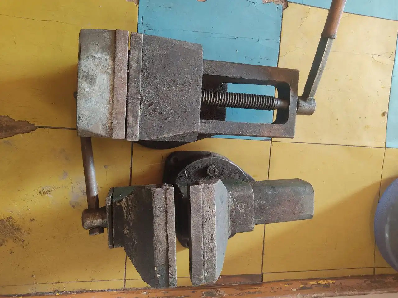 Продам киски в наличии 2 - Животные в Владивосток