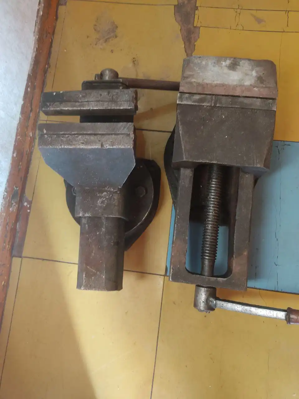 Продам киски в наличии 2 - Животные в Владивосток