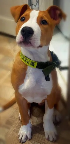 Продажа товара во Владивостоке - DVD диски в Владивосток