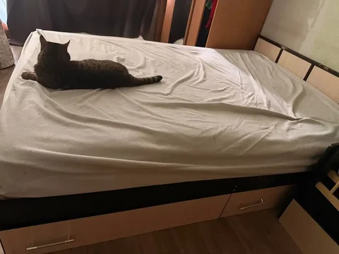 Кровать с матрасом и наматрасником - DVD диски в Владивосток