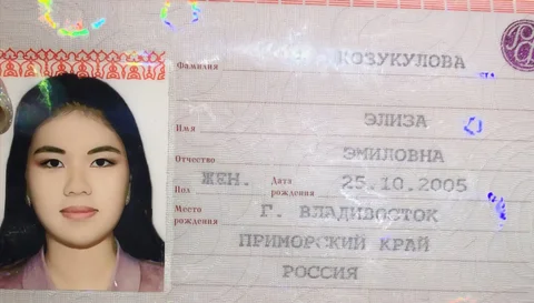 Найден паспорт на Печёрской улице - DVD диски в Владивосток