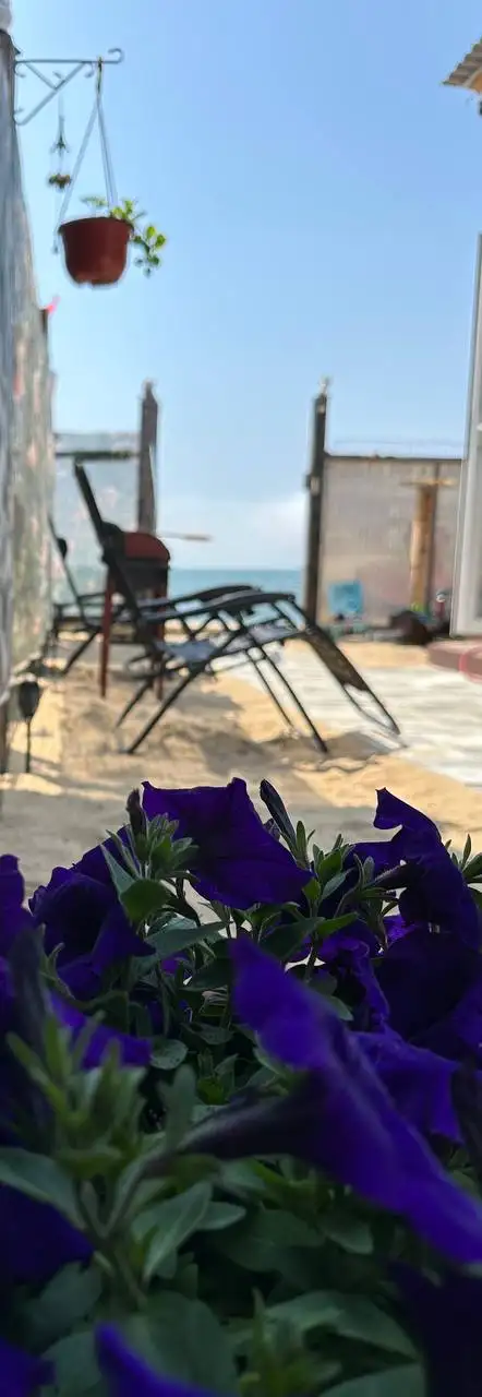 Уникальное предложение на летний отдых в 30 шагах от моря - Отдых на море (Хобби и отдых) в Владивосток