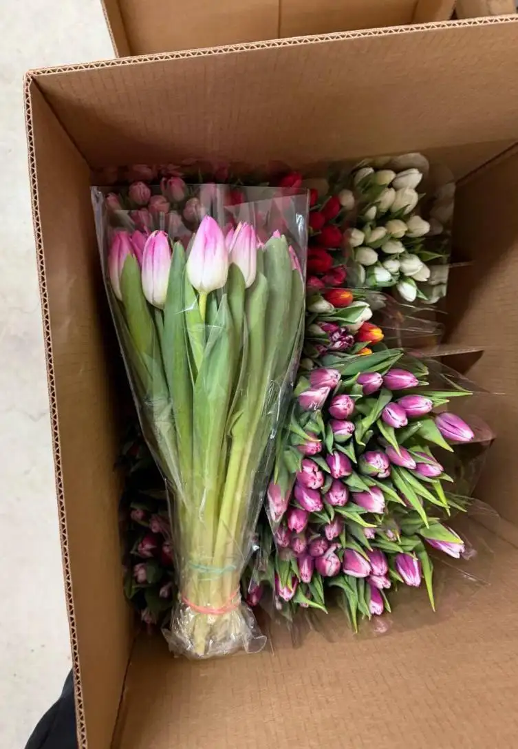 Мелкий опт от 100 штук - Барахолка в Владивосток