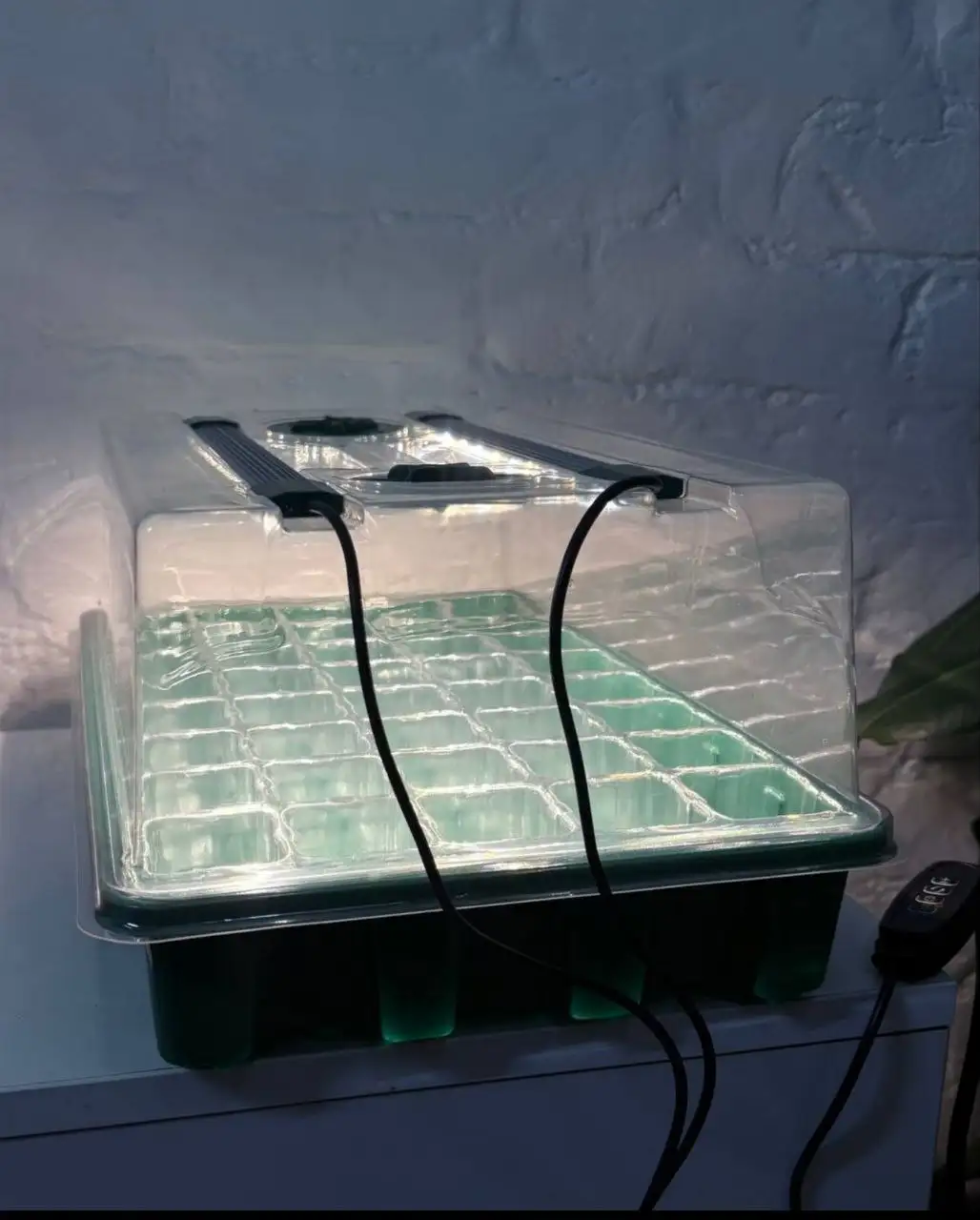 Минитепличка со светом - Сад и огород (Для дома и дачи) в Владивосток