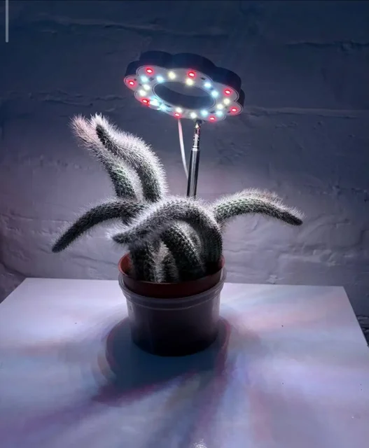 Фитолампа для растений на подставке - частное объявление в Владивосток