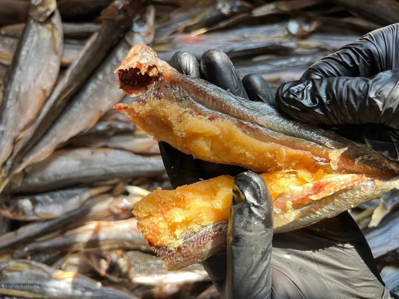 Продажа морских деликатесов: Зубарь, камчатский краб, краб опилио - Продукты питания (Барахолка) в Владивосток