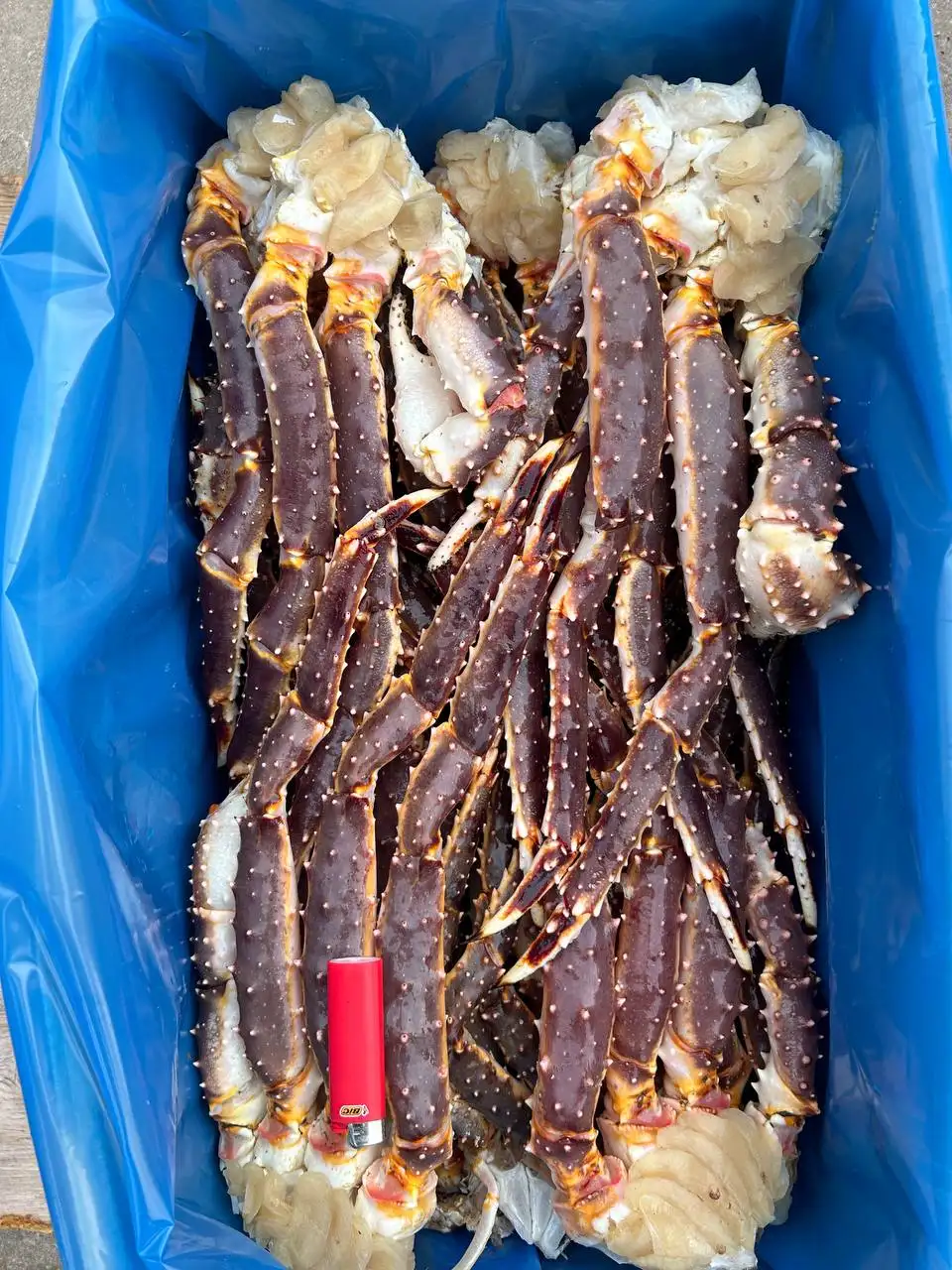 Продажа морских деликатесов: Зубарь, камчатский краб, краб опилио - Продукты питания (Барахолка) в Владивосток