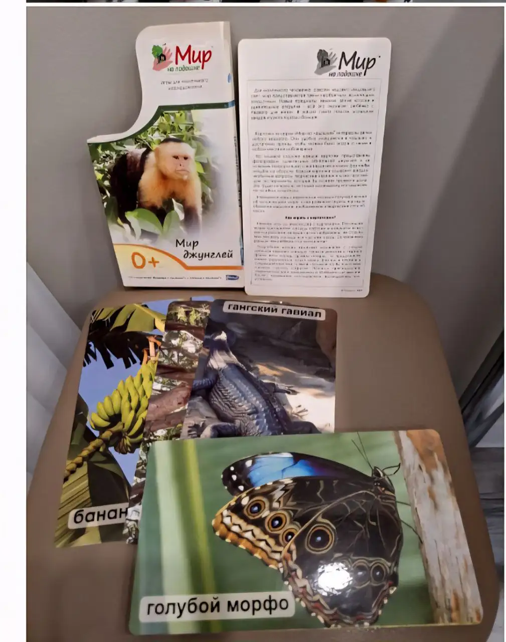 Мир джунглей - Барахолка в Владивосток