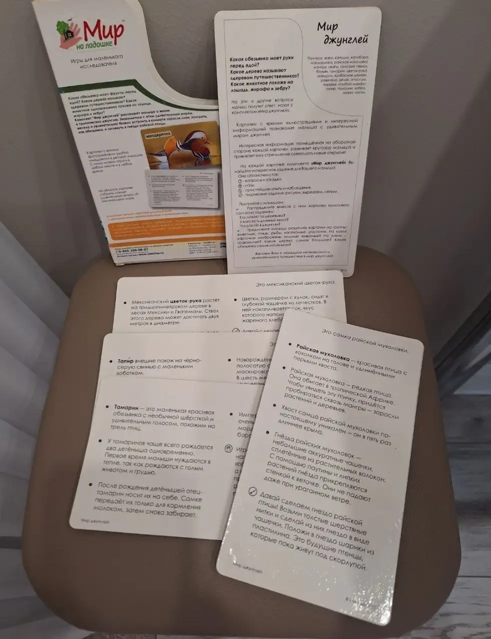 Мир джунглей - Барахолка в Владивосток