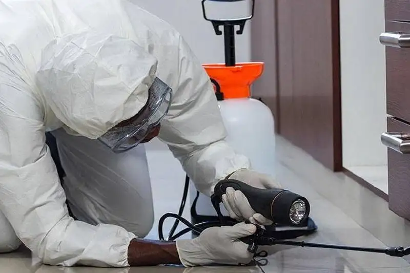 Профессиональная дезинсекция. Избавим от любых насекомых - Дезинсекция (Услуги) в Владивосток