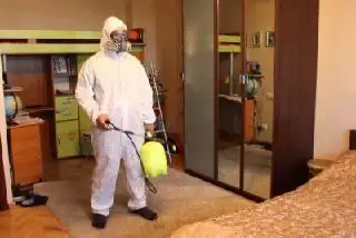 Профессиональная дезинсекция. Избавим от любых насекомых - Дезинсекция (Услуги) в Владивосток