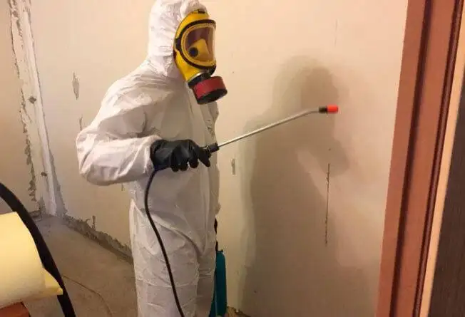 Профессиональная дезинсекция. Избавим от любых насекомых - Дезинсекция (Услуги) в Владивосток