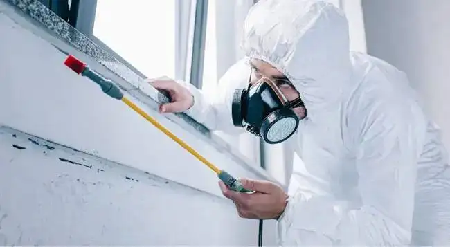 Профессиональная дезинсекция. Избавим от любых насекомых - Дезинсекция (Услуги) в Владивосток