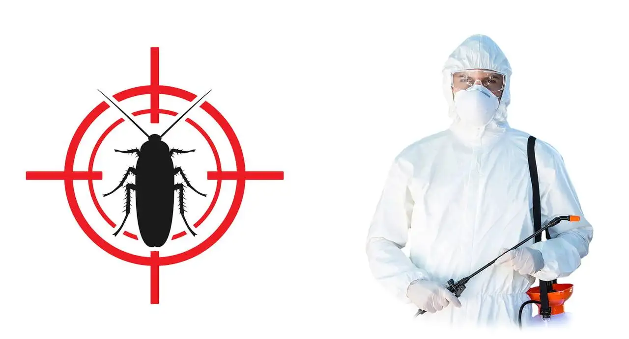 Профессиональная дезинсекция. Избавим от любых насекомых - Дезинсекция (Услуги) в Владивосток