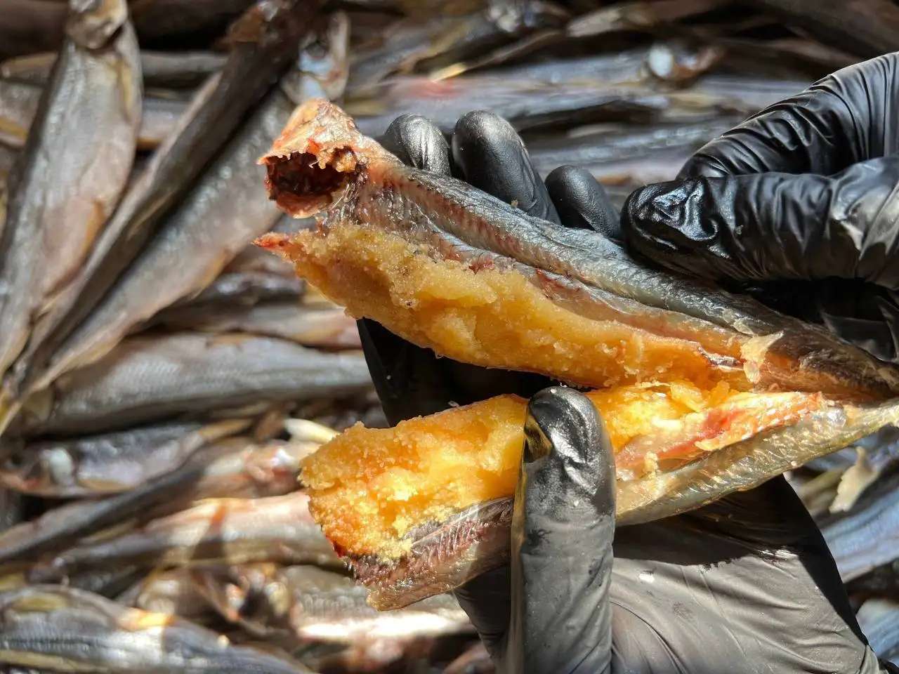 Продажа рыбы (зубарь, кета холодного копчения) - Продукты питания (Барахолка) в Владивосток