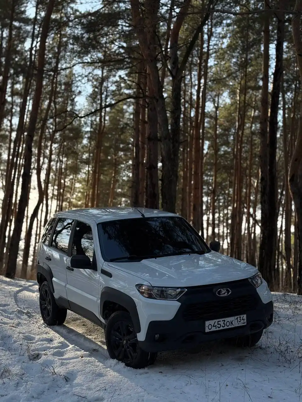 Зеленая автотека 1 хоз Black edition