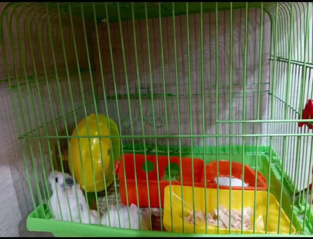 Клетка для животных