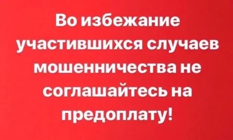 Предупреждение о мошенничестве с предоплатой - частное объявление в Шелехов