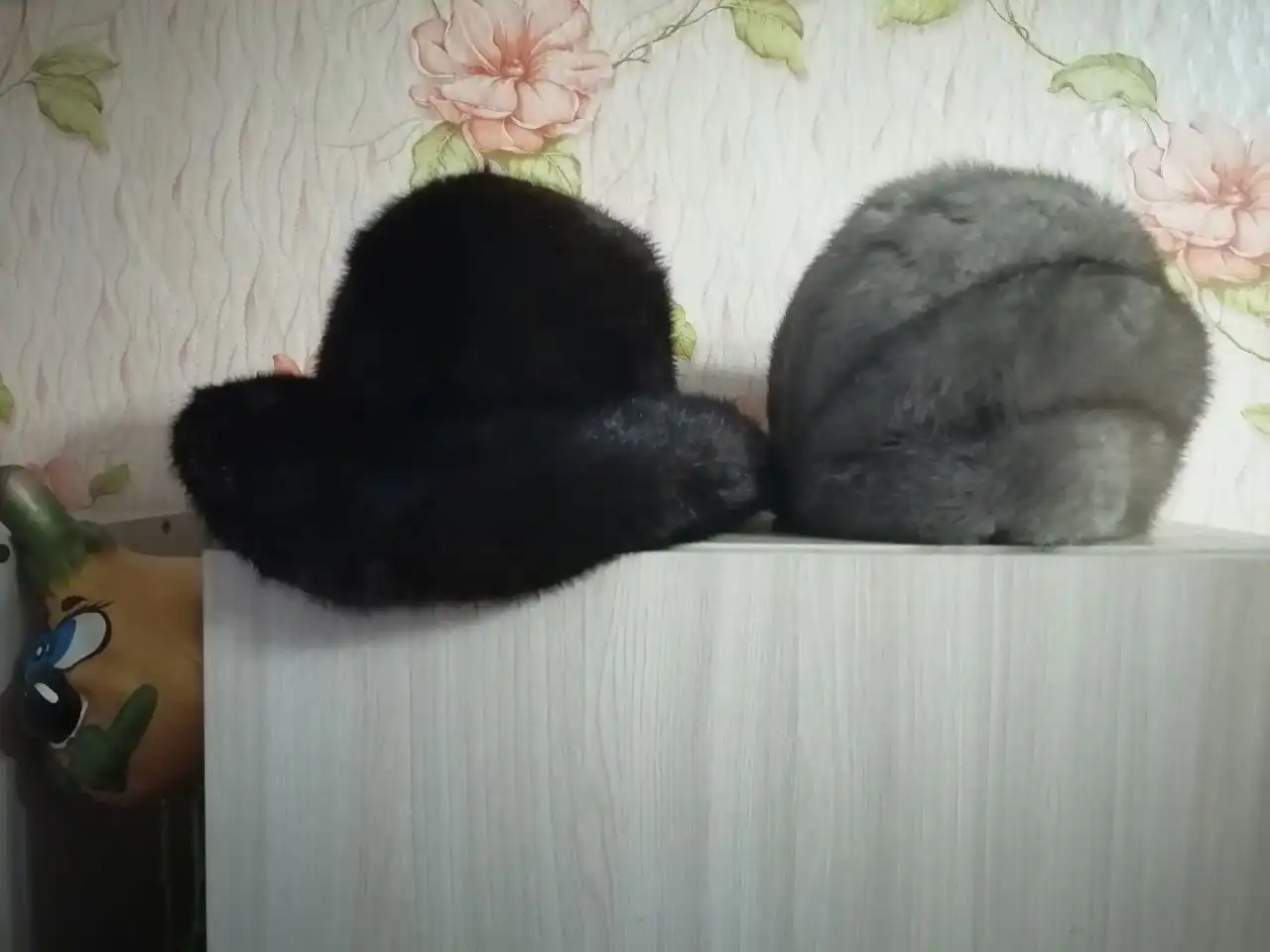 Продам тому кто перешивает шапки - Шапки (Барахолка) в Баклаши