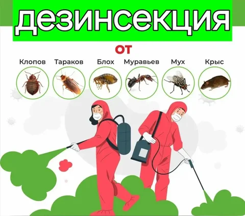 Телефон для вопросов и записи в Баклашах - частное объявление в Баклаши