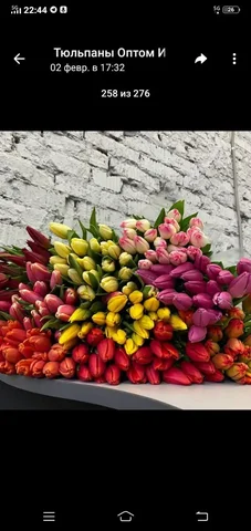 Предзаказ цветов к 8 марта: тюльпаны и мимоза - Туризм и спортивный инвентарь в Шелехов