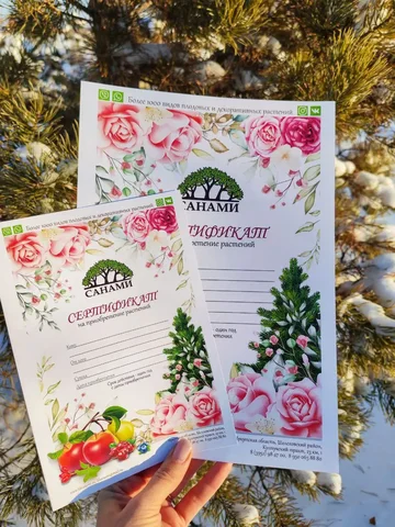 Подарочный сертификат на растения и садовые товары - Ремонт и установка окон в Баклаши