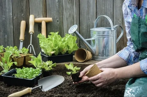 Продажа грунта и садового инвентаря - Садоводство в Шелехов