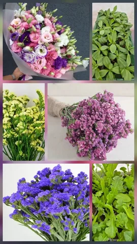 Продажа рассады эустомы и статицы - Сад и огород в Шелехов