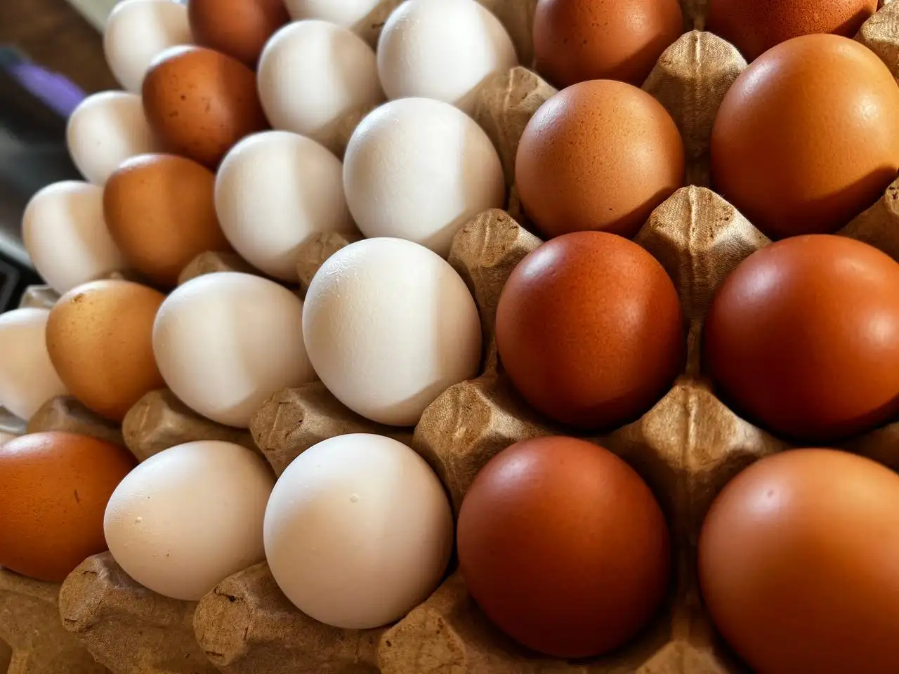 Продажа домашних яиц - Продукты питания (Для дома и дачи) в Баклаши