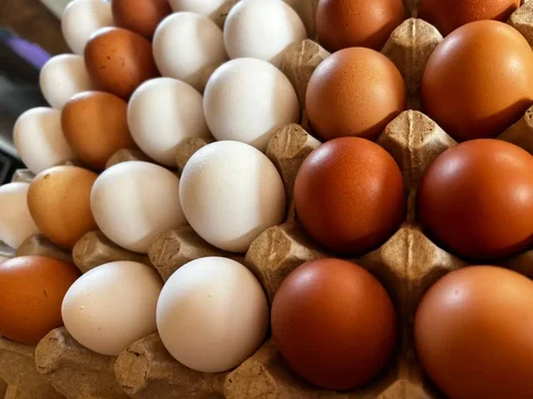 Продажа домашних яиц - частное объявление в Баклаши