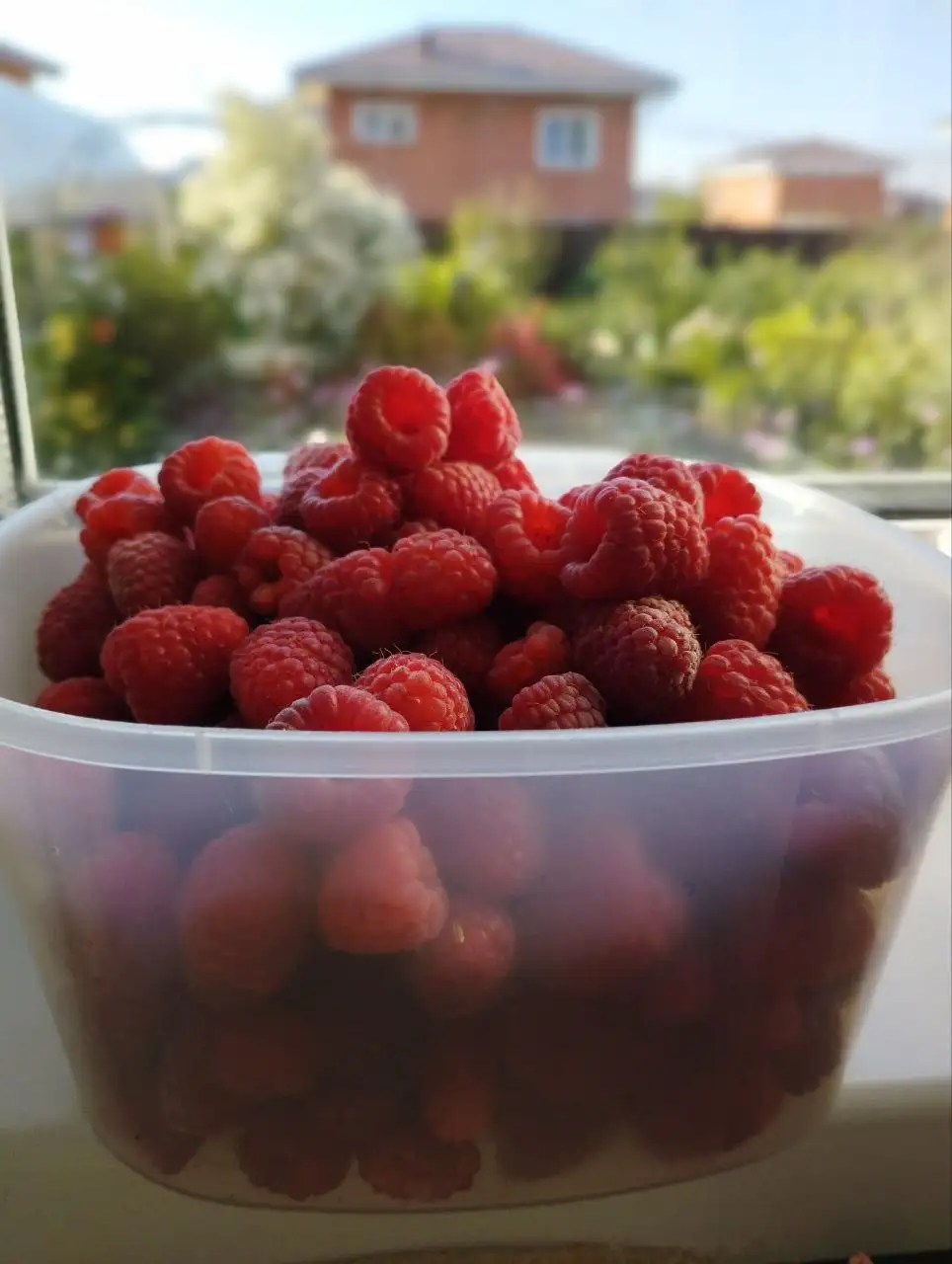 Продам малину 1 л. 500 руб. - Продукты в Шелехов