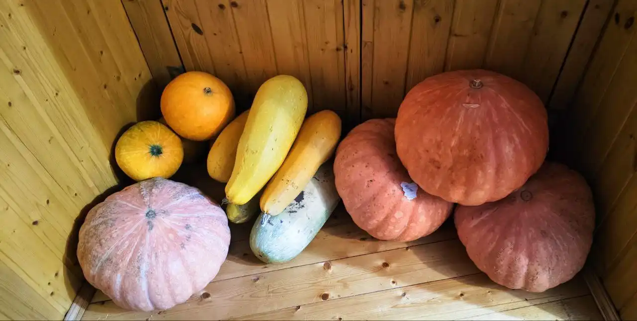 Продажа овощей