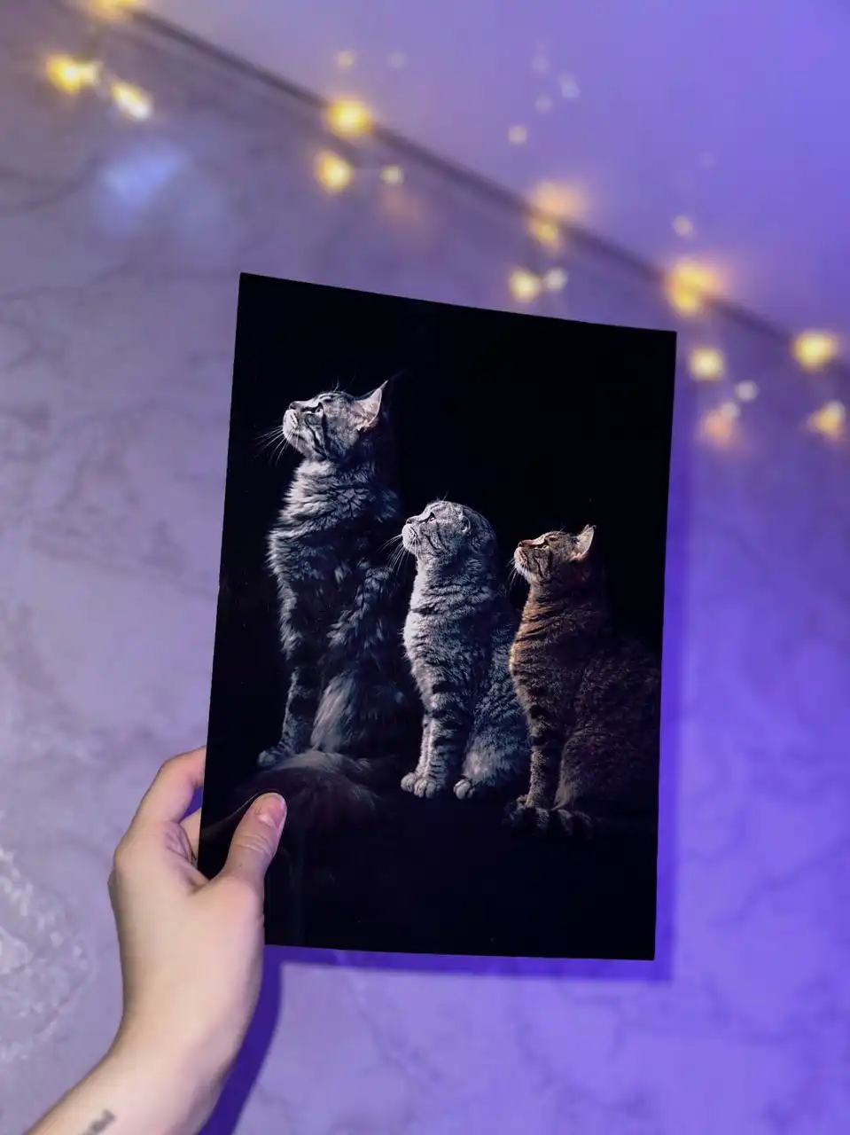 Печать фото на плотной фотобумаге 220–230 г/м² - Фотопечать (Услуги) в Чебоксары